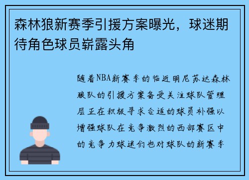 森林狼新赛季引援方案曝光，球迷期待角色球员崭露头角